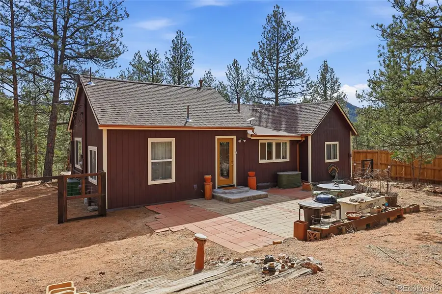 28587 Park Avenue, Pine, CO 80470 - #2