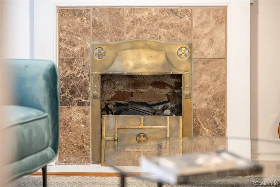 1137 N Sherman Street #14, Denver, CO 80203 - Image #3