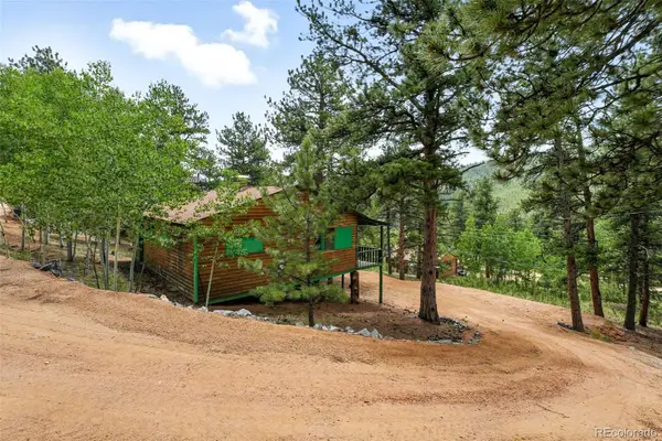 132 Jones Road, Bailey, CO 80421