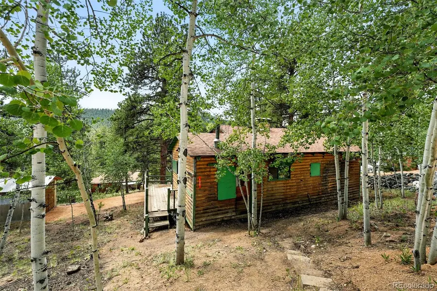 132 Jones Road, Bailey, CO 80421 - #2