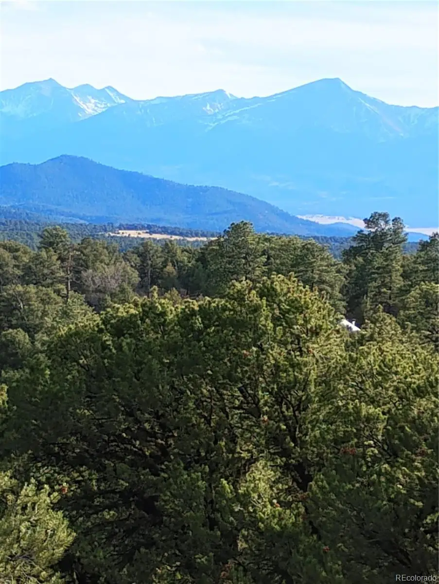 1105 Owens Lane, Cotopaxi, CO 81223 - #1