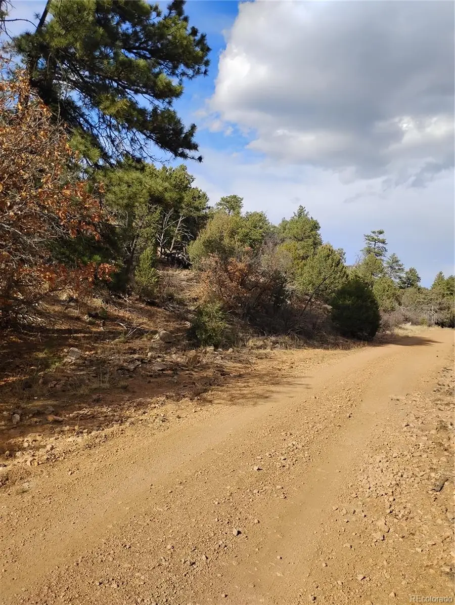 1105 Owens Lane, Cotopaxi, CO 81223 - #3