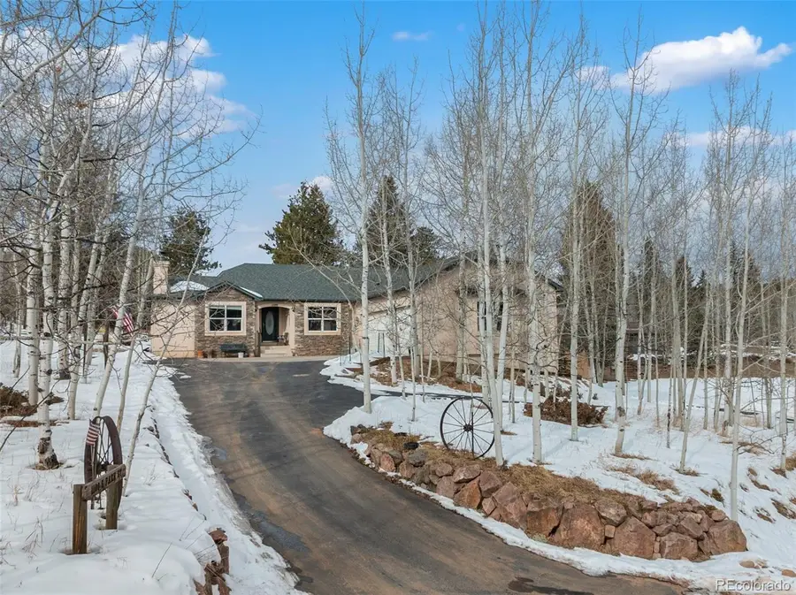 1100 S Park Street, Woodland Park, CO 80863 - #2