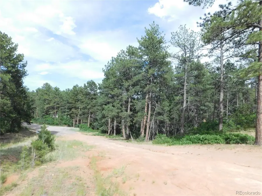 4480 Delaware Drive, Larkspur, CO 80118 - #2