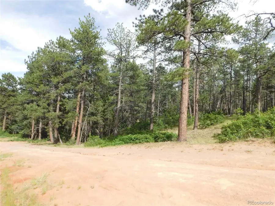 4480 Delaware Drive, Larkspur, CO 80118 - #3