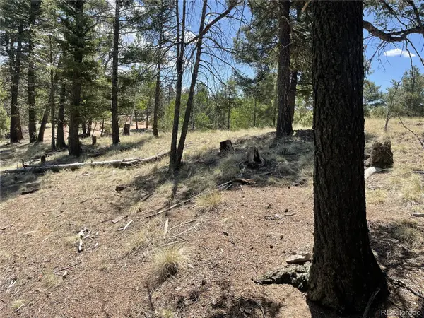 971 Spring Valley Lane, Florissant, CO 80816