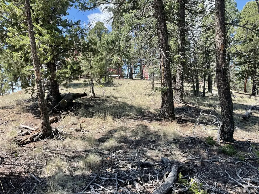 971 Spring Valley Lane, Florissant, CO 80816 - #2
