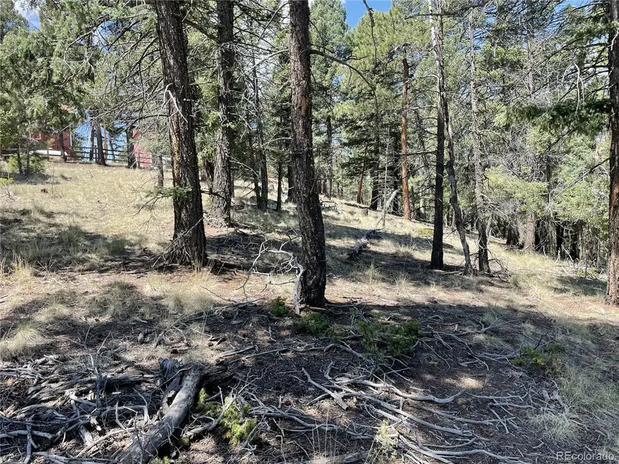 971 Spring Valley Lane, Florissant, CO 80816 - #3