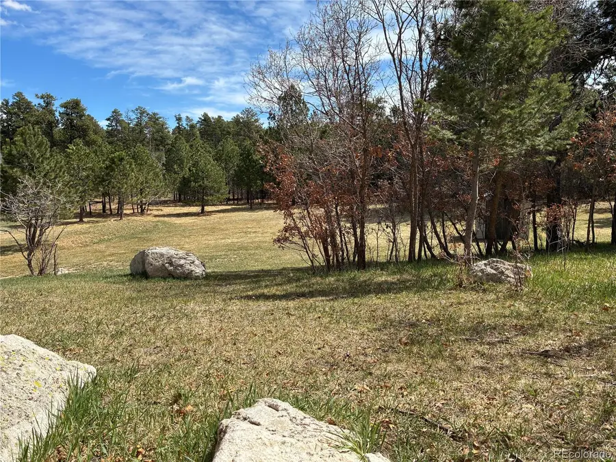 15632 Ray Drive, Larkspur, CO 80118 - #2