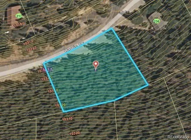 230 Harris Drive, Idaho Springs, CO 80452 - #2