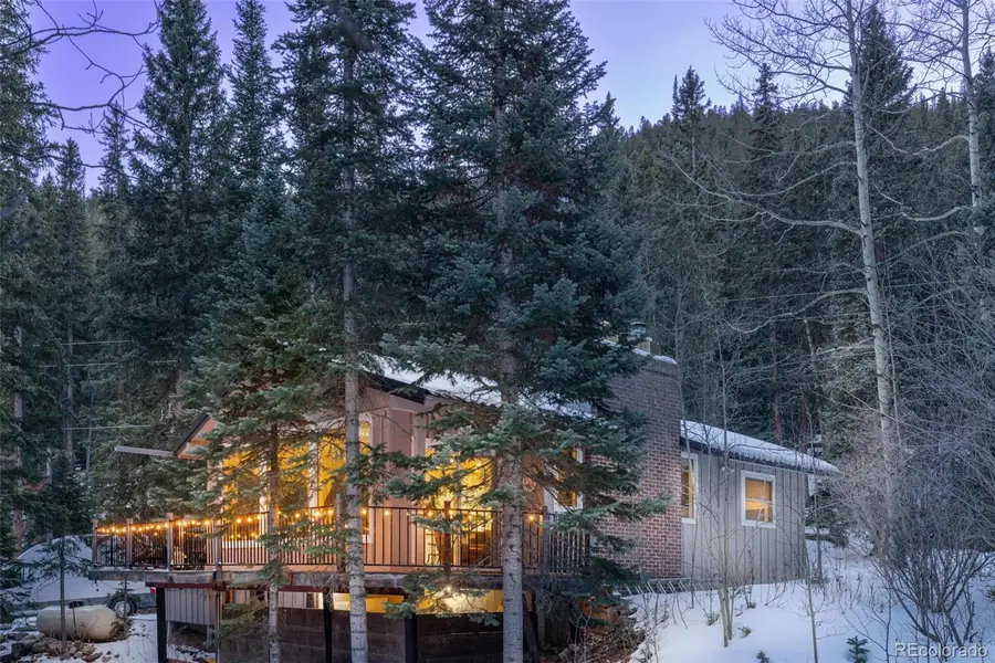 14 Moss, Dumont, CO 80436 - #2