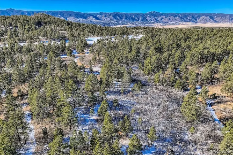 1371 Grayhawk Place, Larkspur, CO 80118 - Image #3