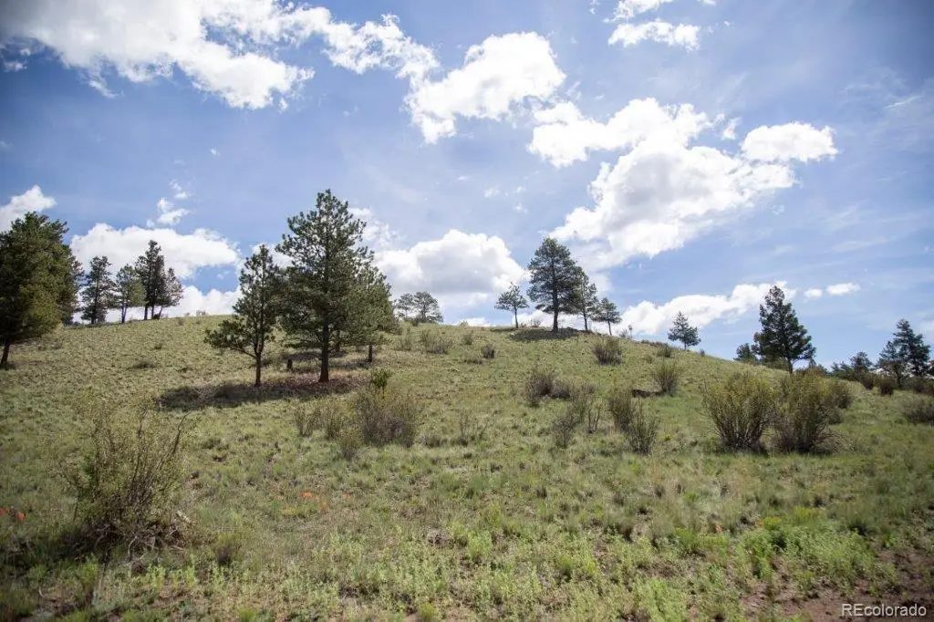 780 Cliff View Drive, Creede, CO 81130 - #1