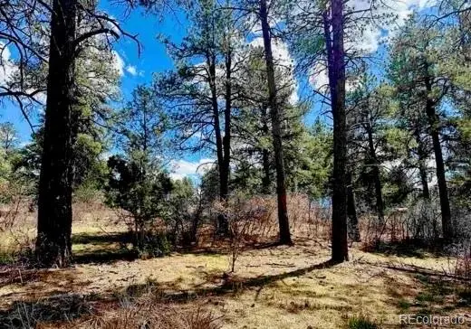 184 Aztec Drive, Pagosa Springs, CO 81147