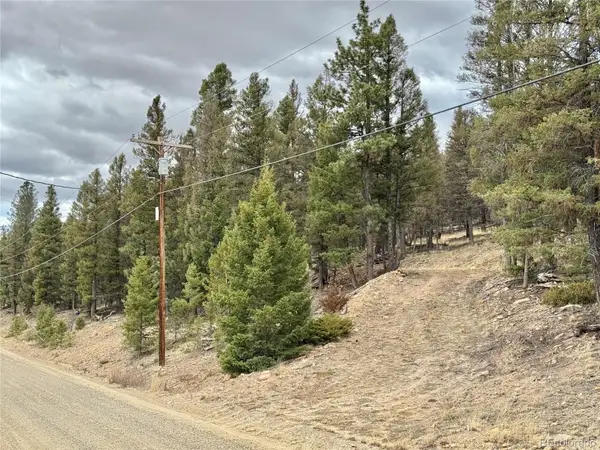 2403 Redhill Road, Fairplay, CO 80440