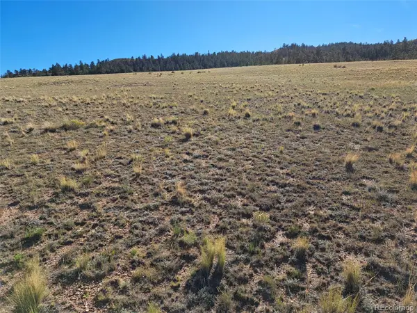 475 Summit Road, Hartsel, CO 80449