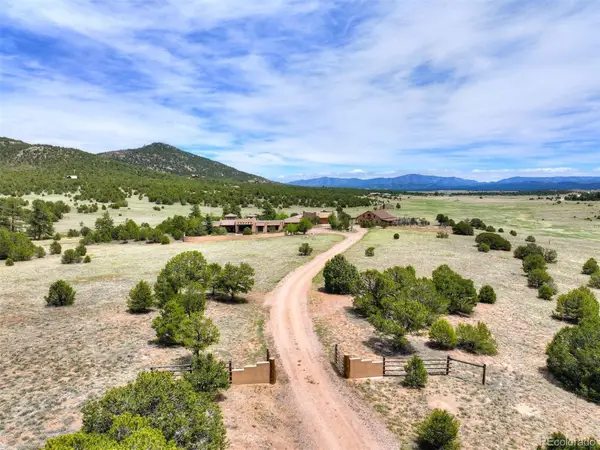 1328 Roundup Road, Westcliffe, CO 81252