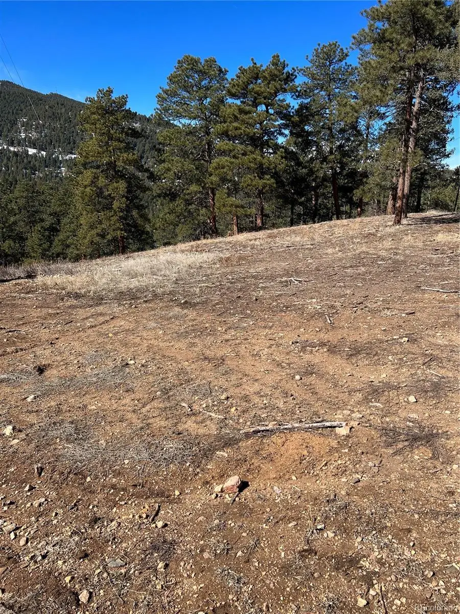 Lot 1 Iowa Gulch Road, Morrison, CO 80465 - #2