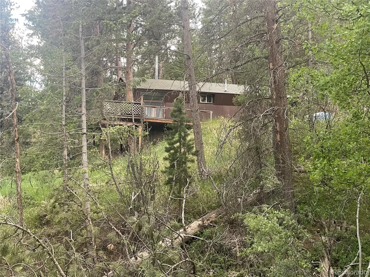 1324 Pine Glade Road, Nederland, CO 80466 - #1