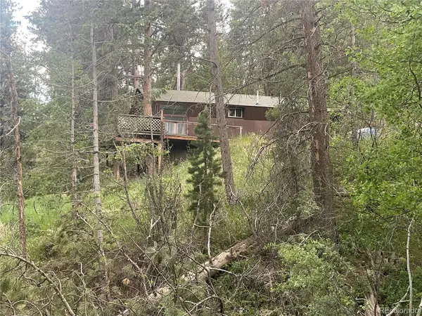 1324 Pine Glade Road, Nederland, CO 80466