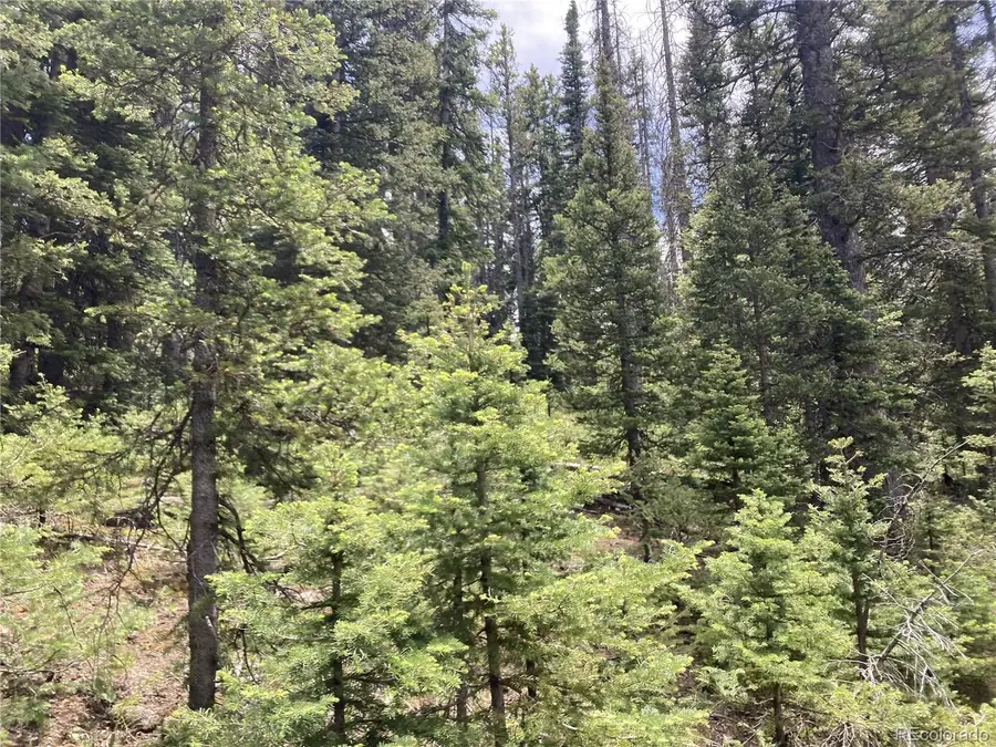 Lot 6614 Starkweather Road, San Luis, CO 81152 - #2