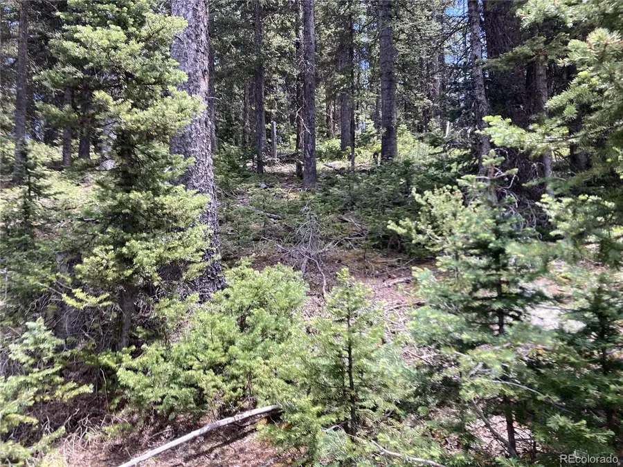 Lot 6614 Starkweather Road, San Luis, CO 81152 - #3