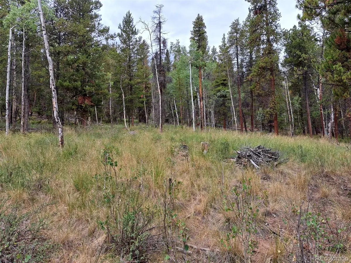 1201 Beaver Creek Road, Fairplay, CO 80440 - #1