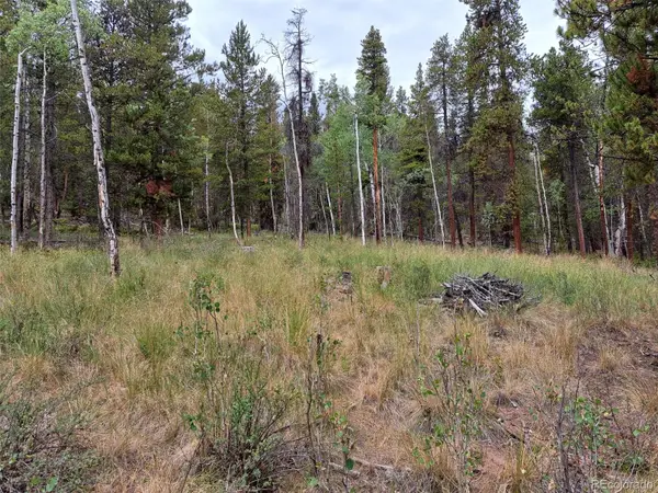 1201 Beaver Creek Road, Fairplay, CO 80440