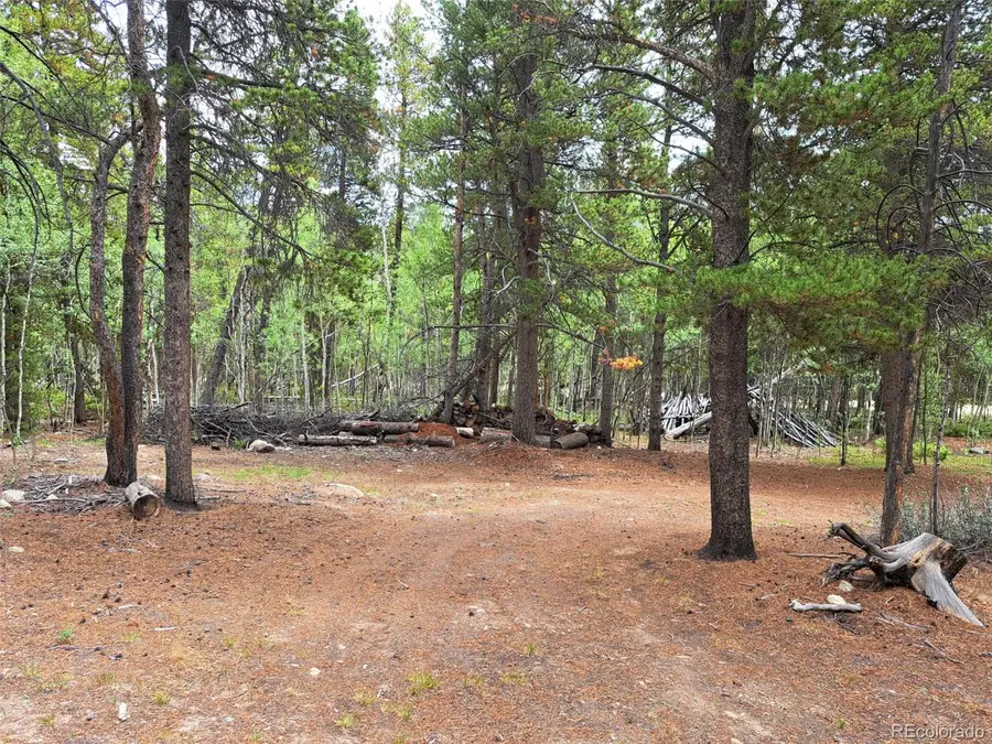 1201 Beaver Creek Road, Fairplay, CO 80440 - #3