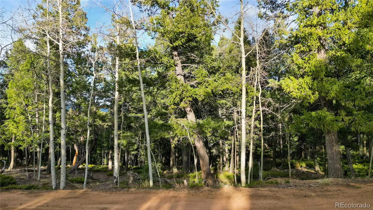 68 Yale Place, Woodland Park, CO 80863 - #1