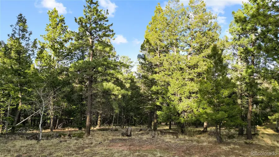 68 Yale Place, Woodland Park, CO 80863 - #2