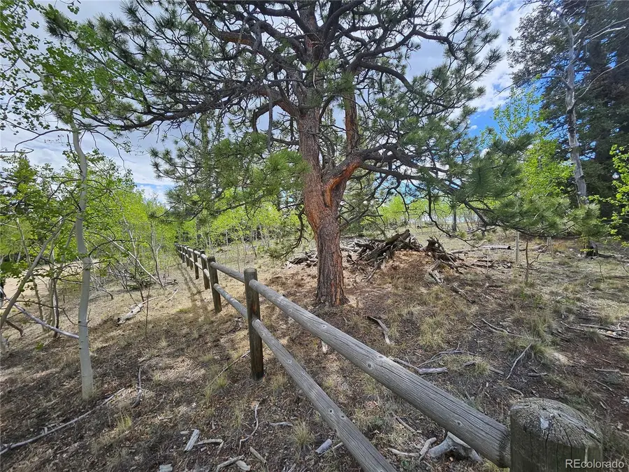 412 Smith And Wesson Road, Como, CO 80456 - #2