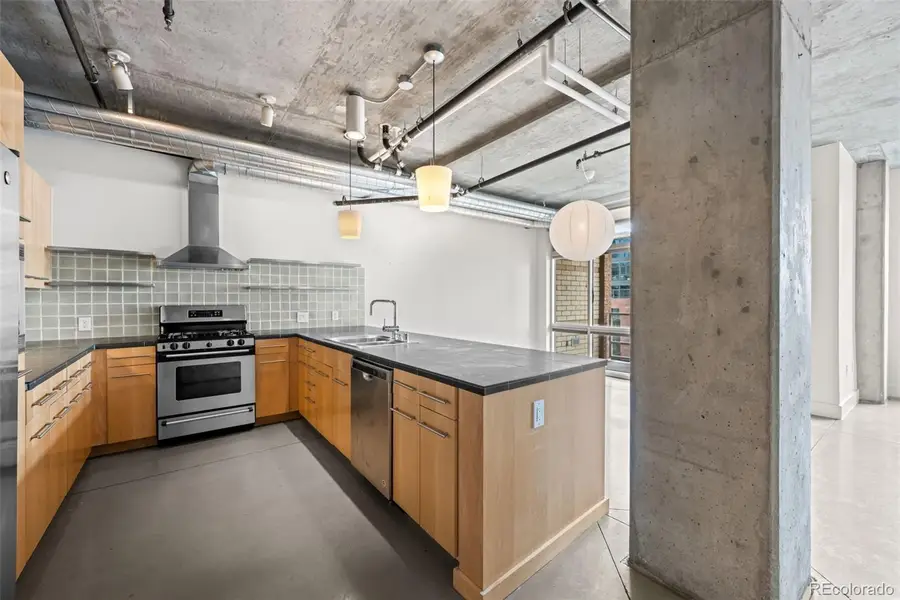 1610 Little Raven Street #507, Denver, CO 80202 - #3