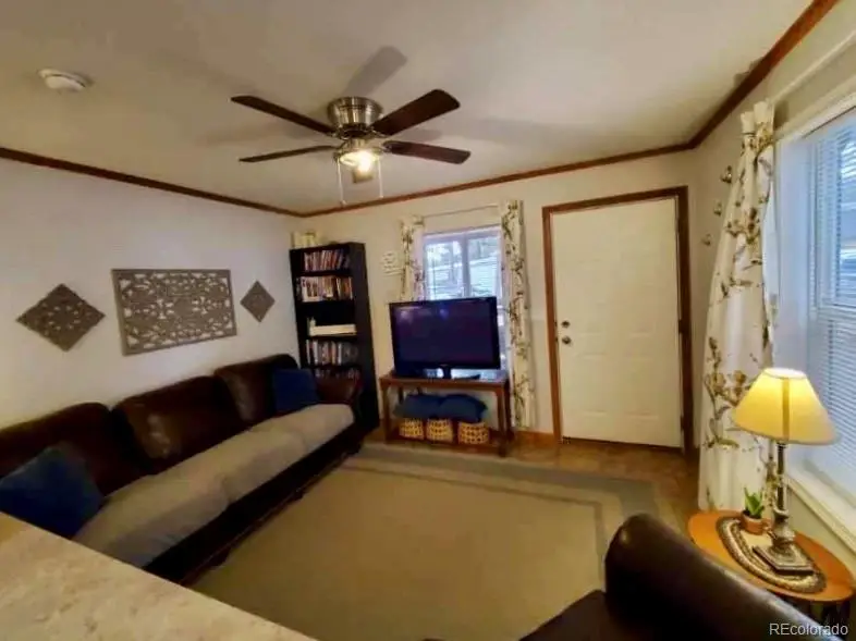27572 State Highway 67, Woodland Park, CO 80863 - #3