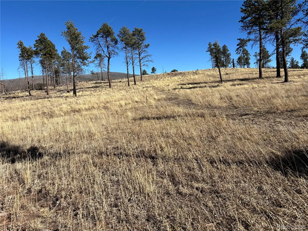 00 Hart Ln., Fort Garland, CO 81133 - #1