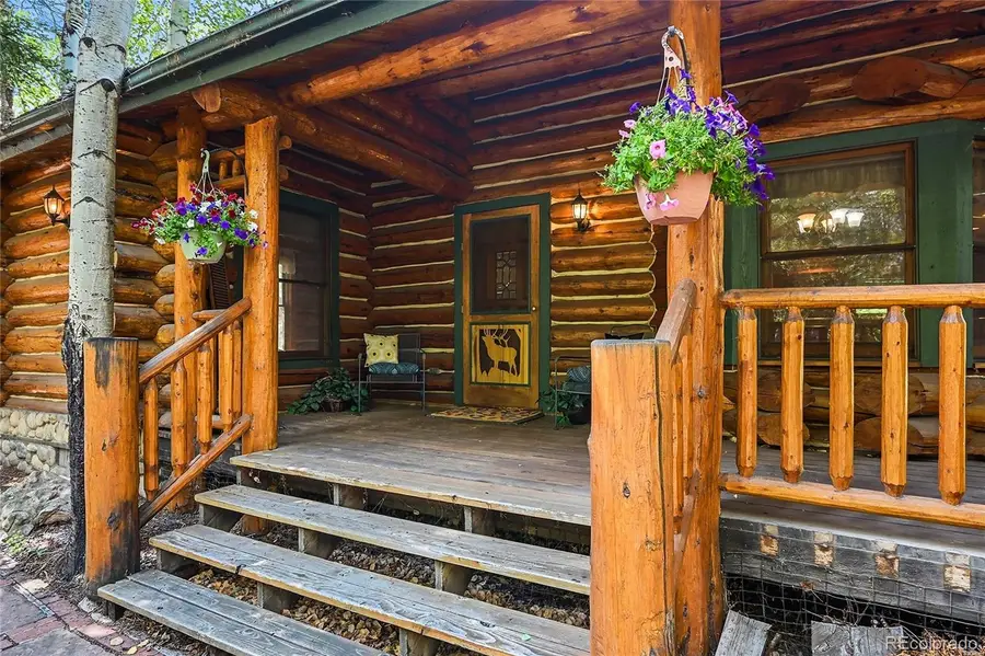 14573 S Elk Creek Road, Pine, CO 80470 - #2