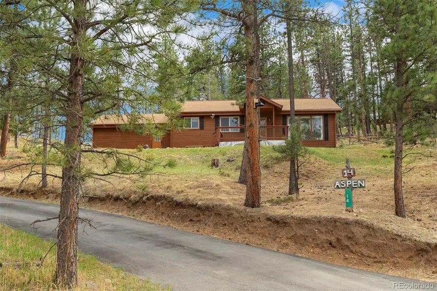 14 Aspen Drive, Bailey, CO 80421 - #2