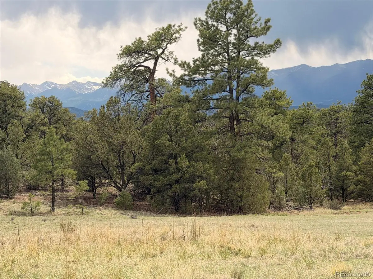 000 41st Trail, Cotopaxi, CO 81223 - #1