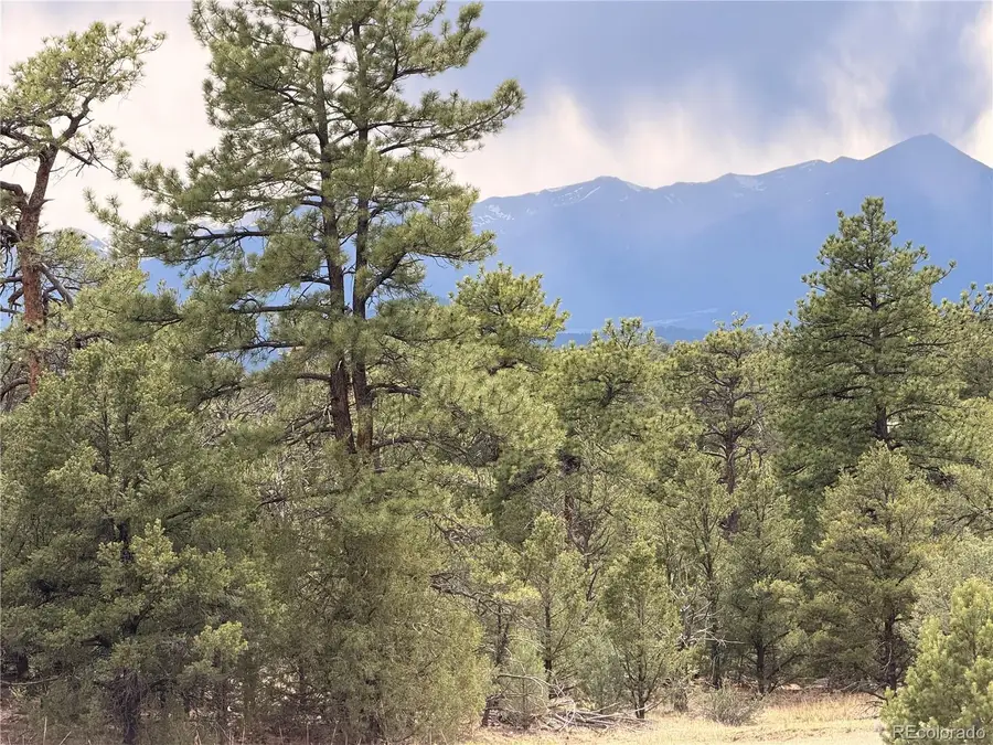 000 41st Trail, Cotopaxi, CO 81223 - #2