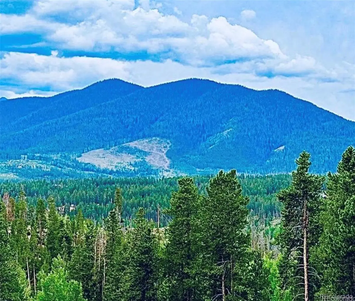 797 Fawn Drive, Tabernash, CO 80478 - #1