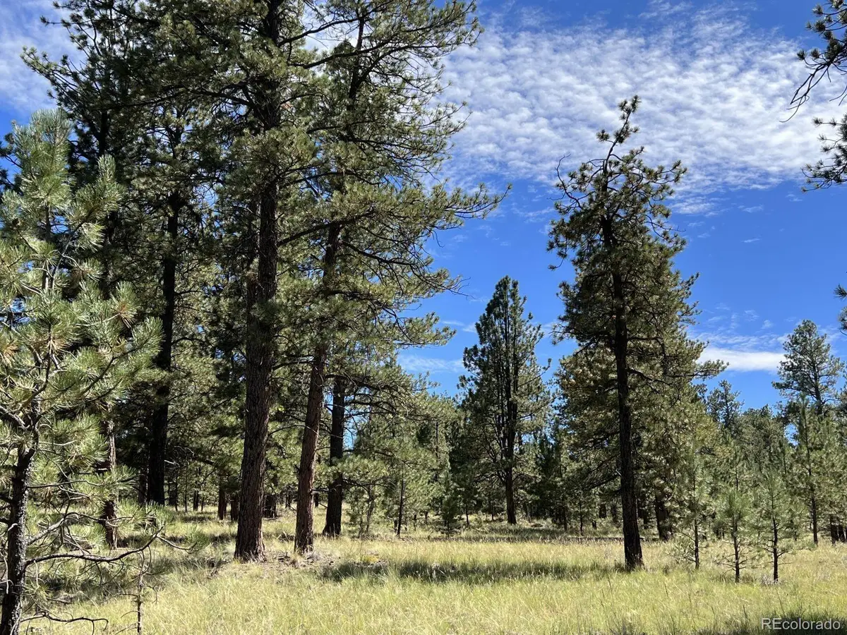 82 Kiowa Circle, Westcliffe, CO 81252 - #1