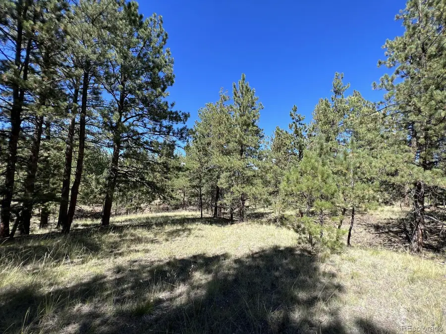 82 Kiowa Circle, Westcliffe, CO 81252 - #2