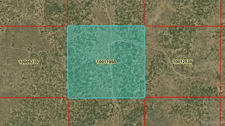 40 Acres N Canyon Drive, San Luis, CO 81152 - #1