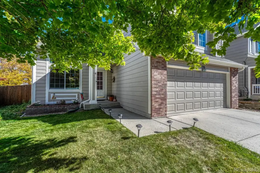 276 Hampstead Avenue, Castle Rock, CO 80104 - #2