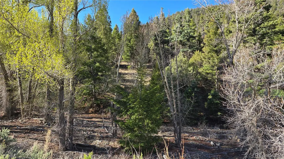 Lot 5475 Joy Road, Fort Garland, CO 81133 - #1