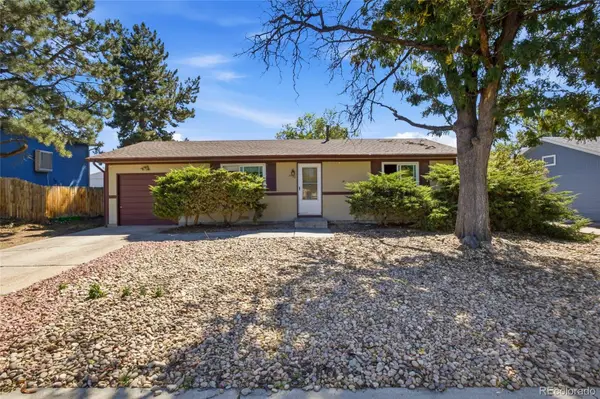 8130 Explorador Calle, Denver, CO 80229