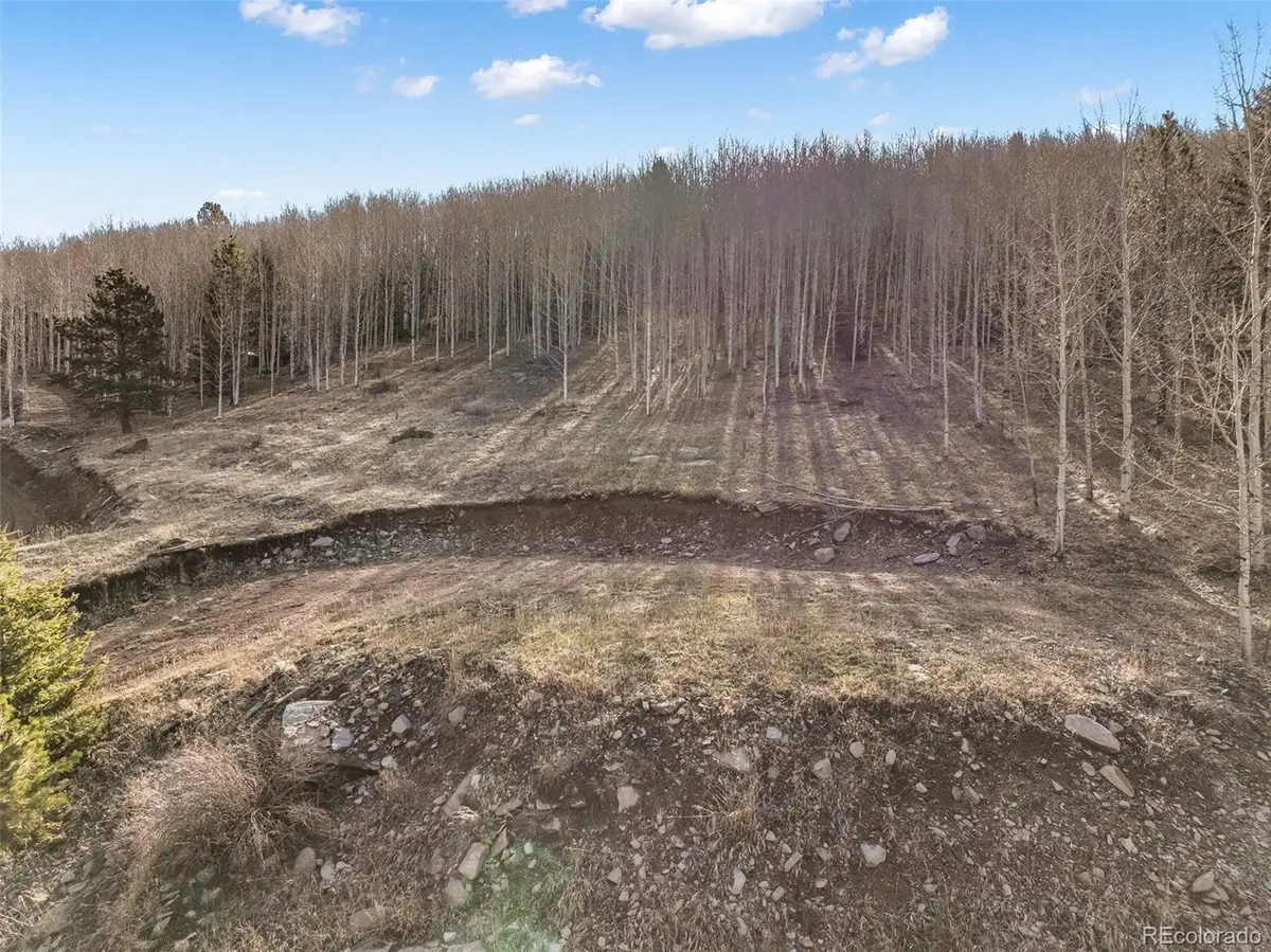 690 Anges Drive, Cripple Creek, CO 80813 - #1