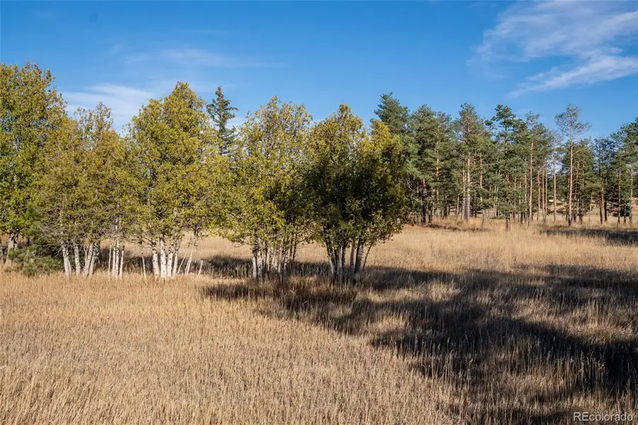 4630 Palmer Ridge Road, Parker, CO 80134 - Image #2
