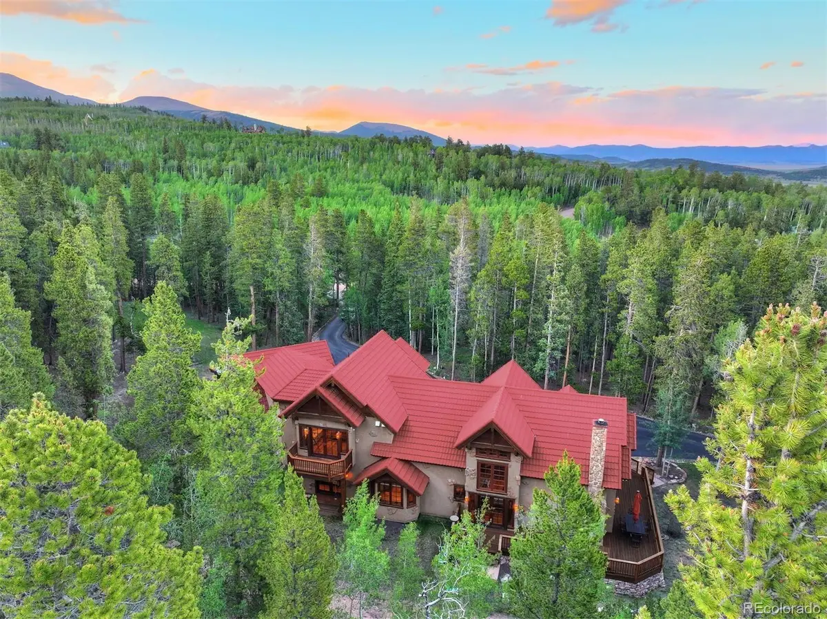 24 Little Baldy Circle, Fairplay, CO 80440 - #1