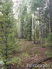 Lot 4-6 8th Street, Jasper, CO 81132 - #1